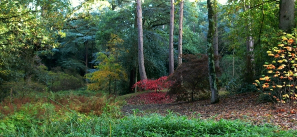 Bois des moutiers fall 2012 (40)